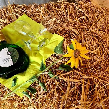 Schlaffass Mit Wellness In Alter Scheune Seinsheim 외부 사진